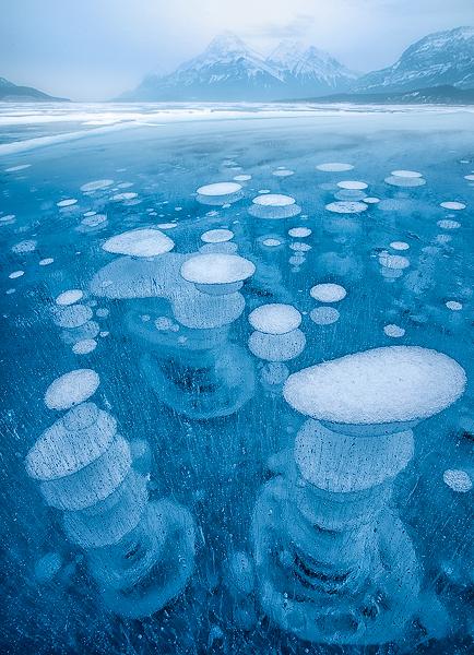 Icescape and frozen bubbles, photograph taken on a frozen Abraham Lake near Banff National Park, Alberta Canada