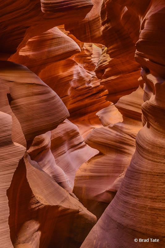 Today’s Photo Of The Day is “Shades Of Time” by Brad Tate.  Location: Antelope Canyon near Page, Arizona. 