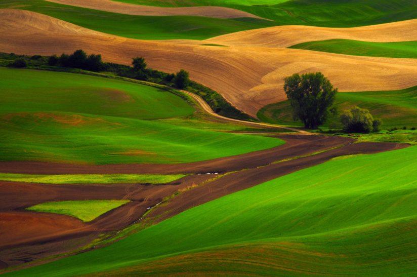 Today’s Photo Of The Day is “The Palouse From Steptoe Butte” by Michel Hersen. Location: Steptoe Butte State Park, Washington.