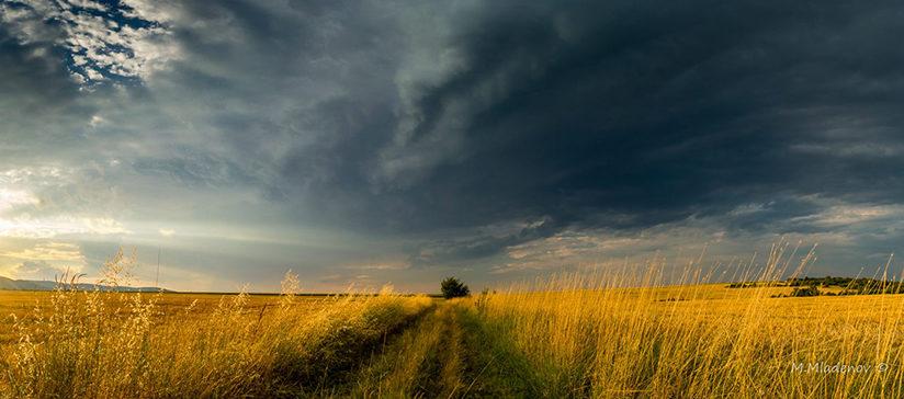 Today’s Photo Of The Day is “Alone In The Field” by Milen Mladenov. Location: Varbovchets, Bulgaria.