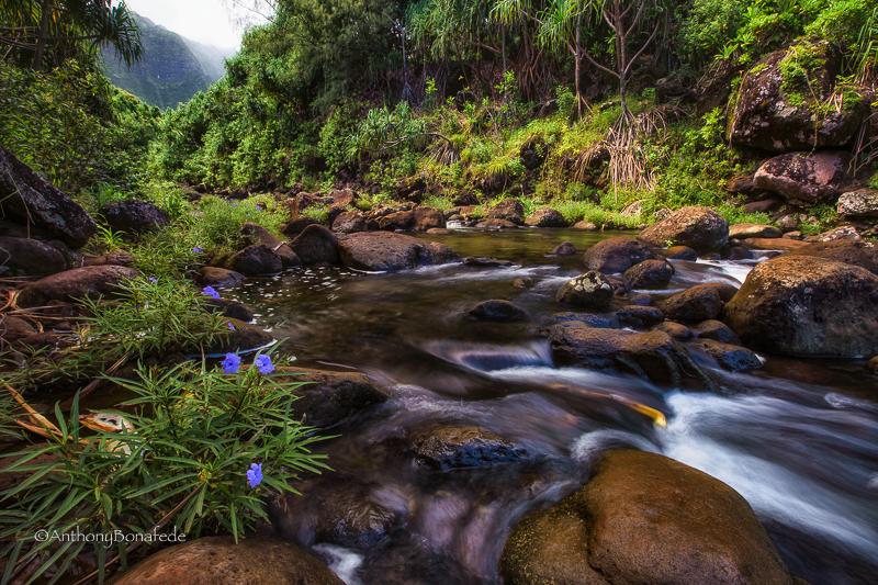 Today’s Photo Of The Day is “River Crossing” by Anthony Michael Bonafede. Location: Kalalau Trail, Kauai, Hawaii.