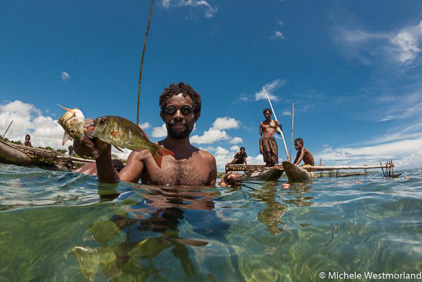 Traditional method of fishing in the shallow waters.  After being trapped in an area surrounded by nets, the men snorkel to spear the fish.  "Sweetlips" are a favorite of the village communities of the Tufi area, Oro Province, Papua New Guinea