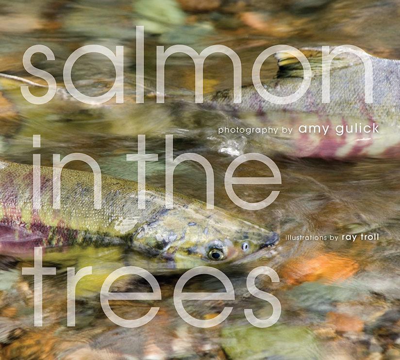 Salmon in the Trees: Life in Alaska’s Tongass Rain Forest by Amy Gulick is the recipient of an Independent Publisher Book Award, as well as two Nautilus Book Awards that recognize books that promote conscious living and positive social change.