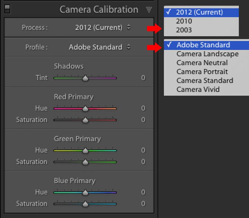 Camera Standard Vs Adobe Standard