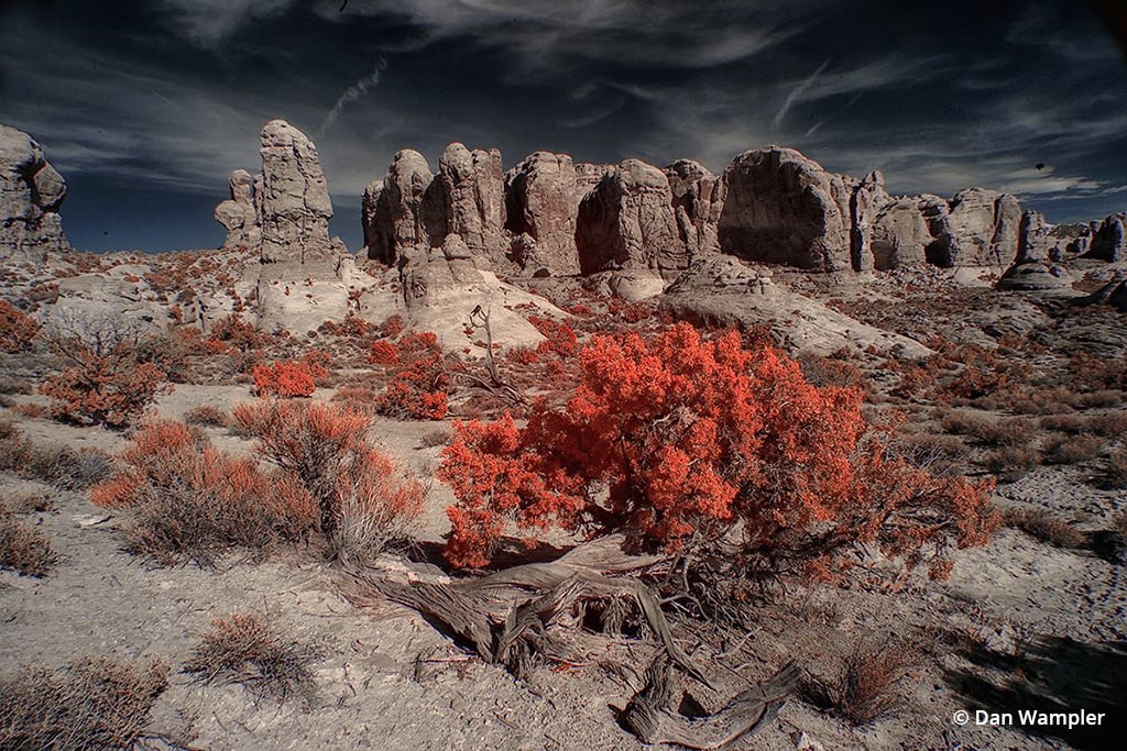 Infrared Conversion: How To Convert A Camera To Infrared