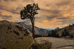 "Yosemite Sunset" By Bob Faucher