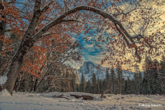 "Half Dome Yosemite" By Mickey Rebecchi