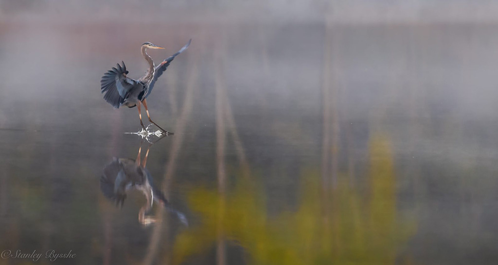“Foggy Fall Landing” By Stan Bysshe