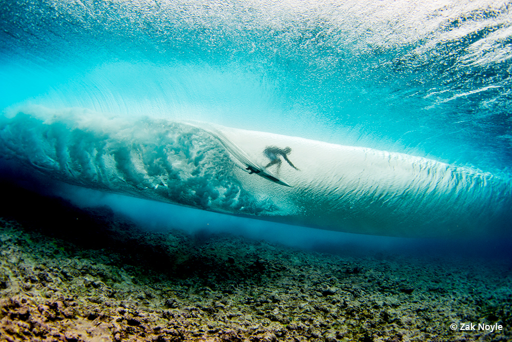 Zak Noyle Slideshow: Beneath The Surface