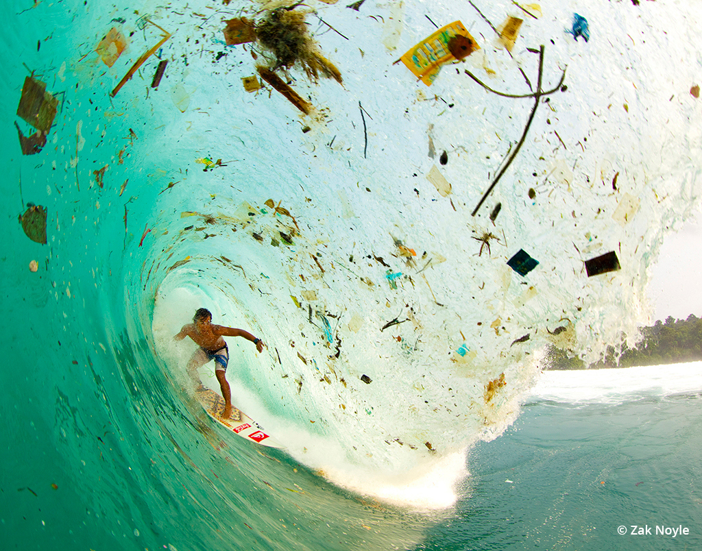 Zak Noyle Slideshow: Wave Of Change