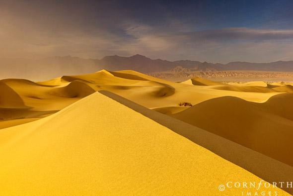 Mesquite Sand Dunes Sunset 3 Death Valley National Park California