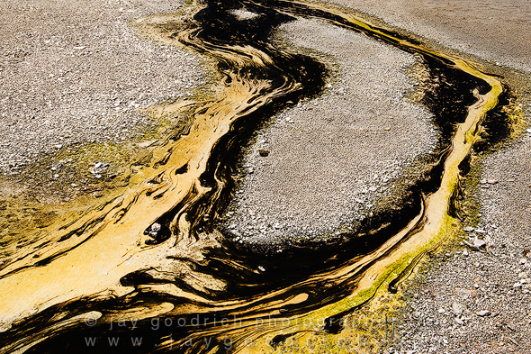 The Bacteria Waters of Norris Geyser Basin, Yellowstone