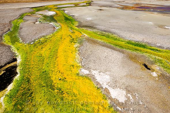 The Bacteria Waters of Norris Geyser Basin, Yellowstone