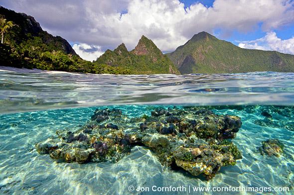 Ofu Island Coral Over Under 1, National Park of American Samoa, Ofu Island, American Samoa