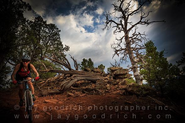 Heather Goodrich Mountain Biking Colorado by Jay Goodrich
