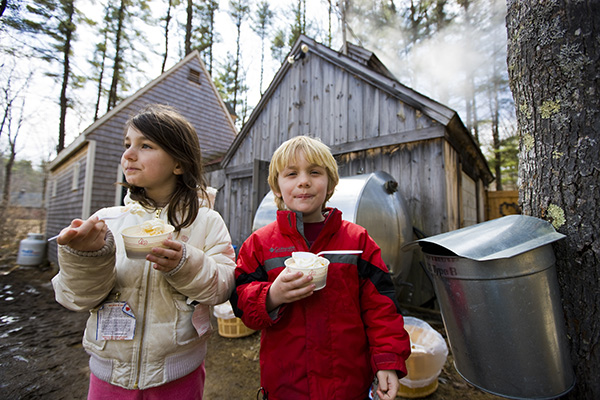 Two kids enjoy maple sundaes at Folsom's Sugar House in Chester, New Hampshire.  Steam from boiling sap rises from the sugar house.