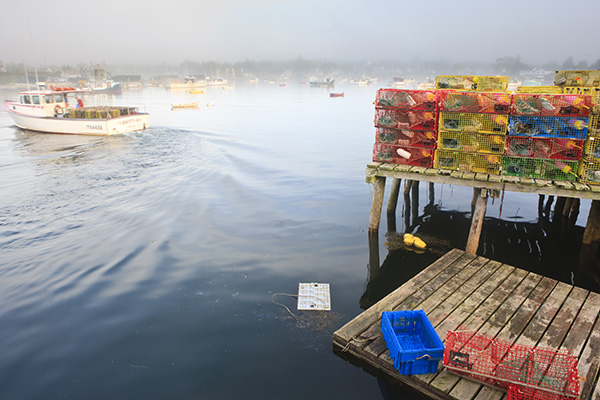 Lobster traps and boats in morning fog.  Corea, Maine.