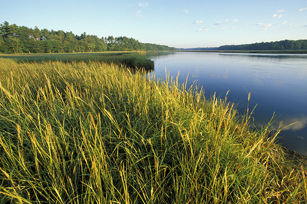 The Mousam River and the Rachel Carson National Wildlife Refuge. Salt marsh.  Tidal river.