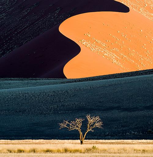 Alone, Namibia - Rafael Rojas