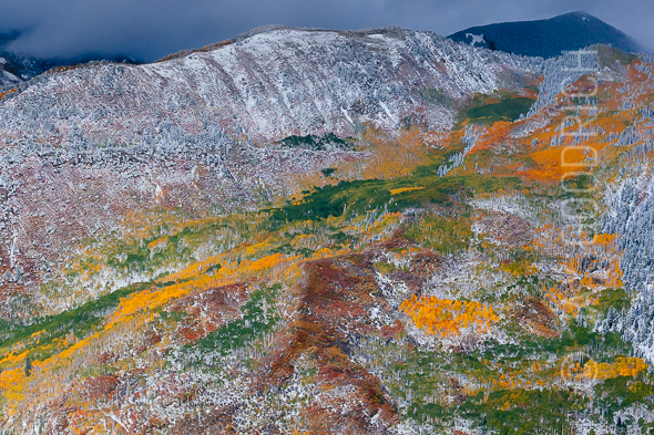 Autumn Color Aspens McClure Colorado by Jay Goodrich