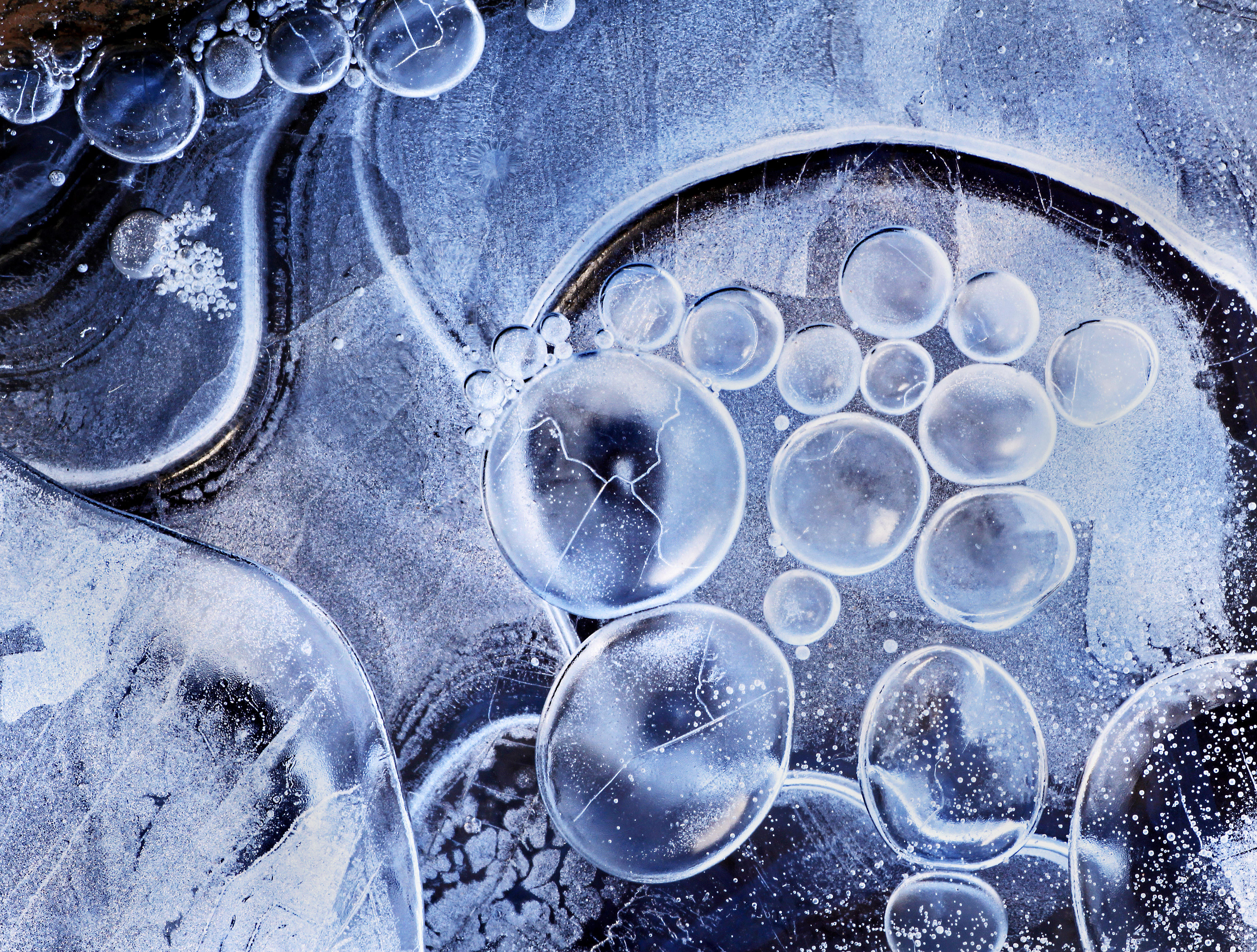 'Frozen Bubbles' by Carolyn Derstine