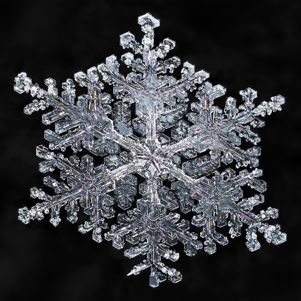 Macro close-up of snowflake crystals highly detailed black background focus stacking multiple exposure