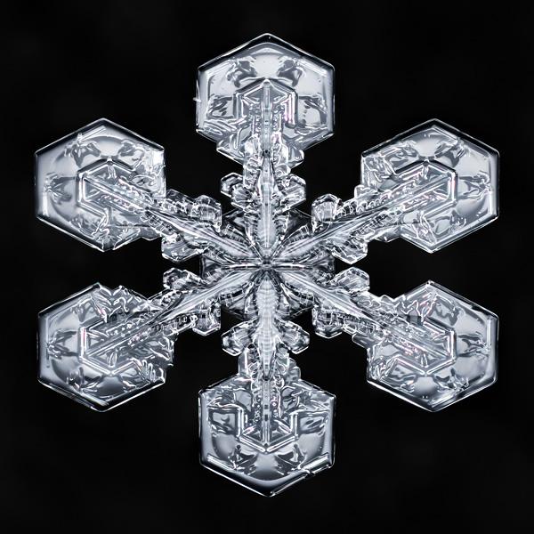 Macro close-up of snowflake crystals highly detailed black background focus stacking multiple exposure