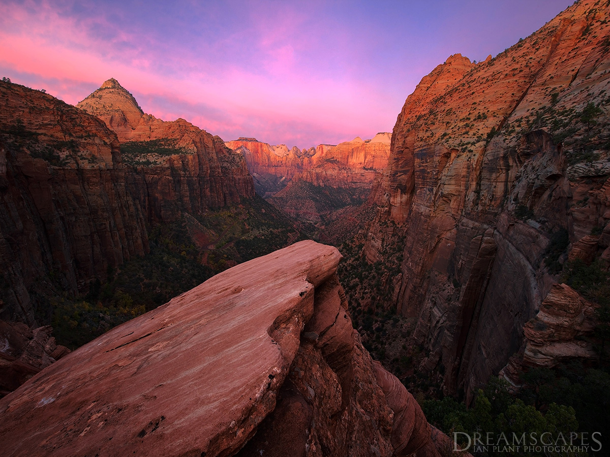 Canyon-Overlook,-dawn-twilight,-Zion-National-Park,-Utah