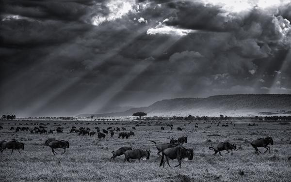 “I Bless The Rains…” By Morkel Erasmus