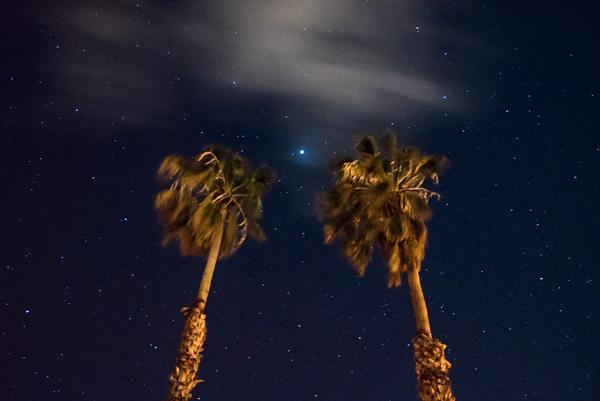 Night photography: Twin palms and a passing cloud