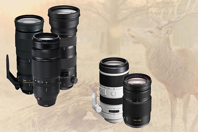 wildlife photography lenses
