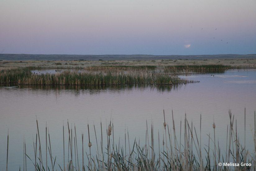 Bowdoin Lake National Wildlife Refuge