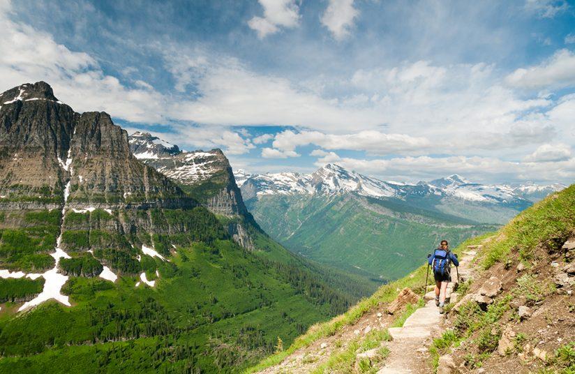 Highline Trail along the top of Logan Pass