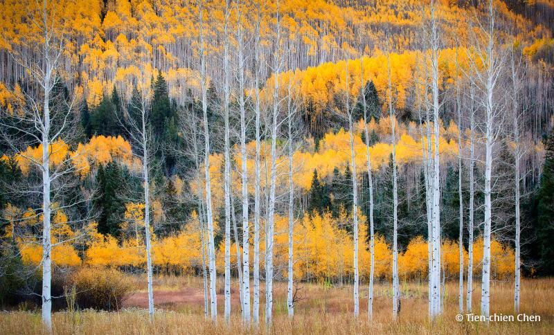 Today’s Photo Of The Day is “The Brotherhood” by Tien-chien Chen. Location: Aspen, Colorado. 