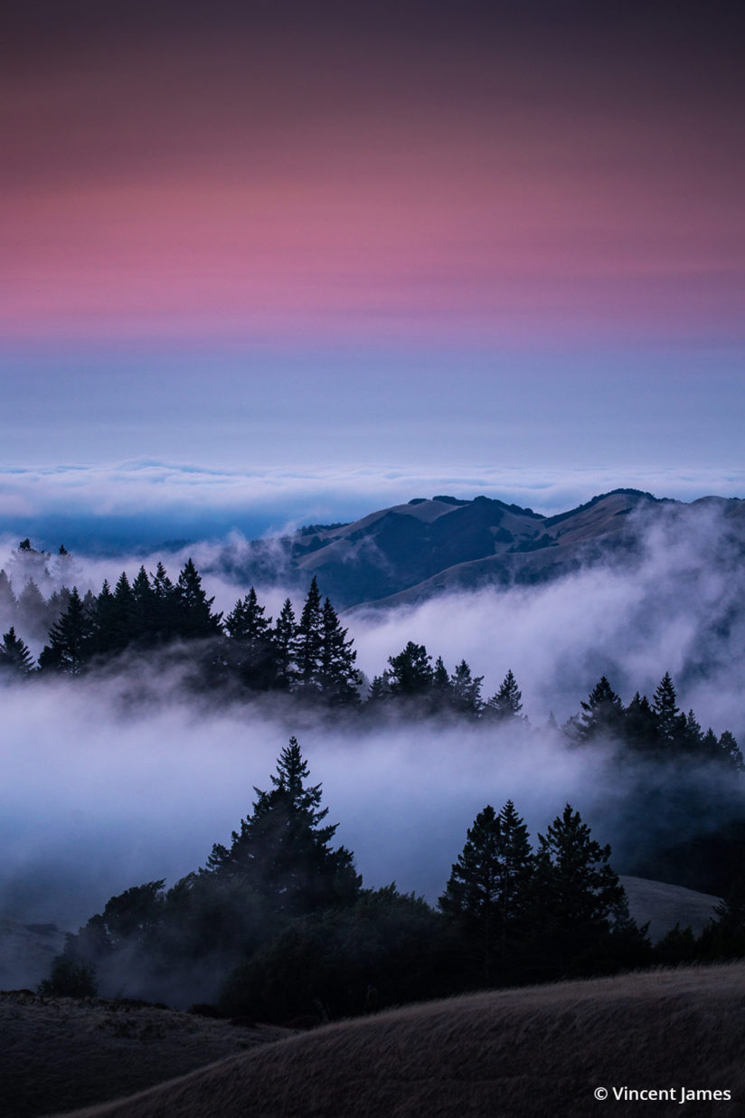 Today’s Photo Of The Day is “This Must Be Heaven” by Vincent James. Location: Mount Tamalpais State Park, California. 
