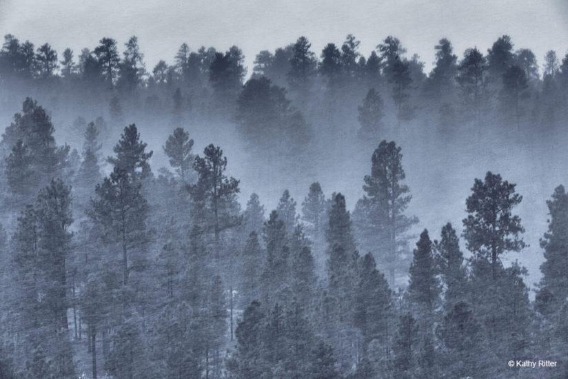 Today’s Photo Of The Day is Swift Snow by Kathy Ritter. Location: Payson, Arizona. 