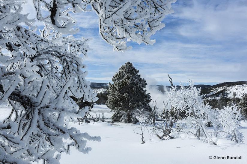 Yellowstone In Winter © Glenn Randall
