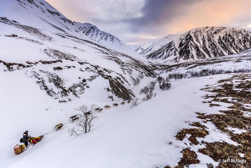 Iditarod by Jeff Schultz
