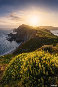 Today’s Photo Of The Day is “Golden Reyes” by Max Foster. Location: California.