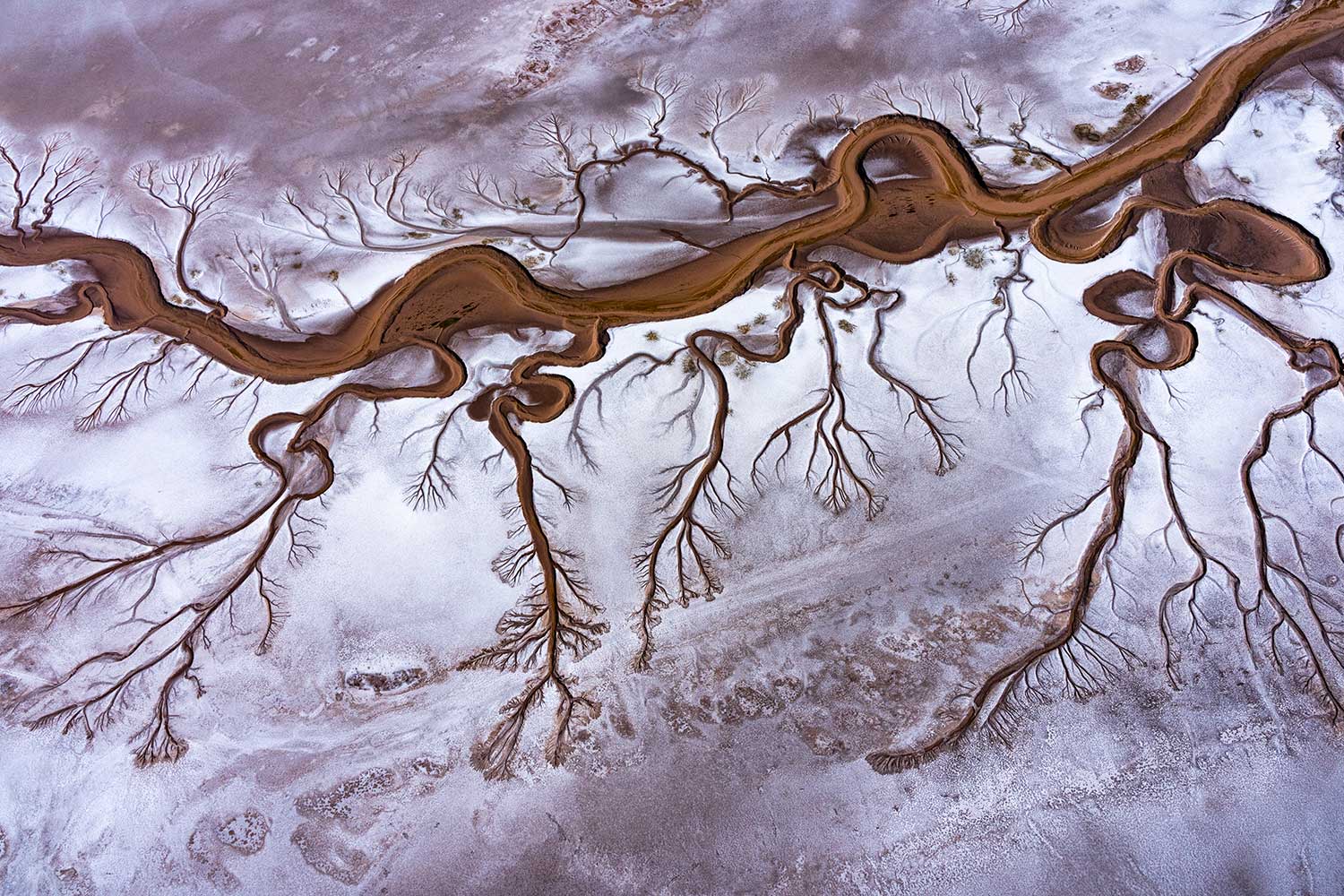 Aerial image of a dry Colorado River
